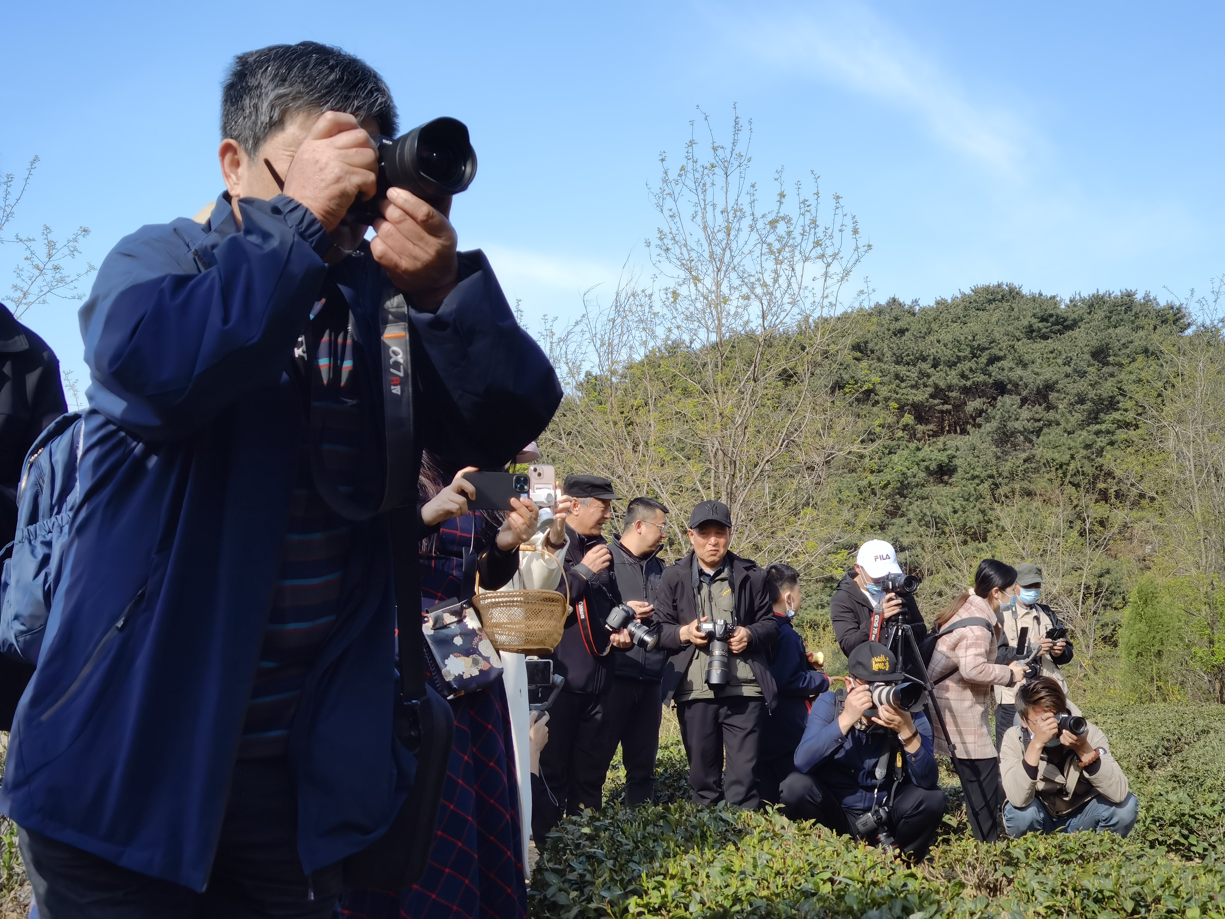 “谷雨试新茶,寻鲜圣谷山” 日照新媒体达人2022春茶采风活动举行