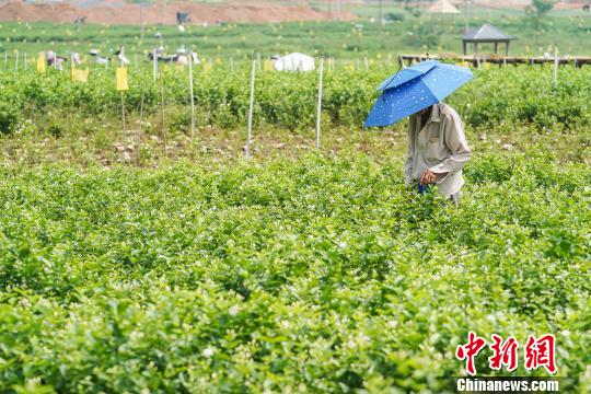 图片默认标题_fororder_103845870