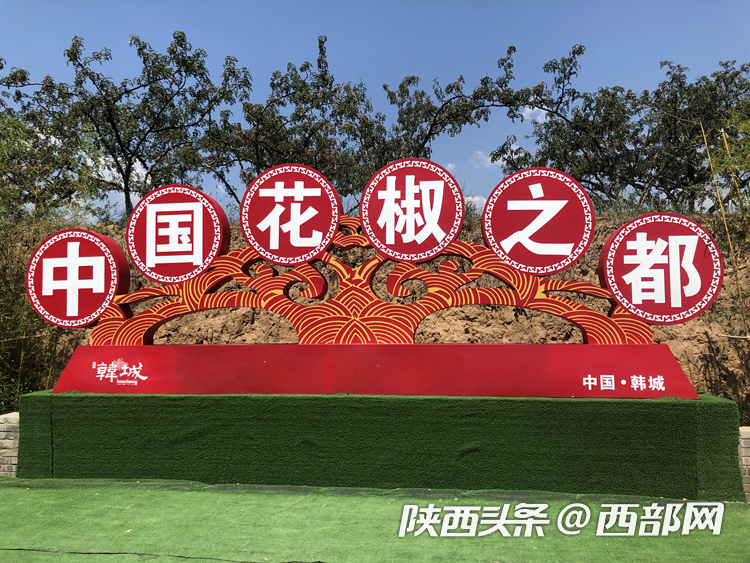 【记者再走长征路】韩城:神仙调味料花椒在这里变身“红珍珠”