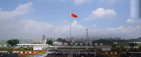 号令一出，动若风发！全警实战大练兵！