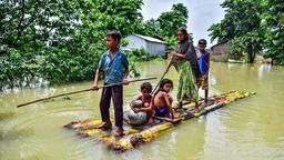 印度阿萨姆邦洪灾已致110人死亡 540万人受灾