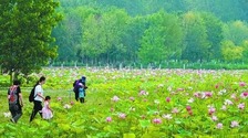 城市副中心交出高质量发展成绩单