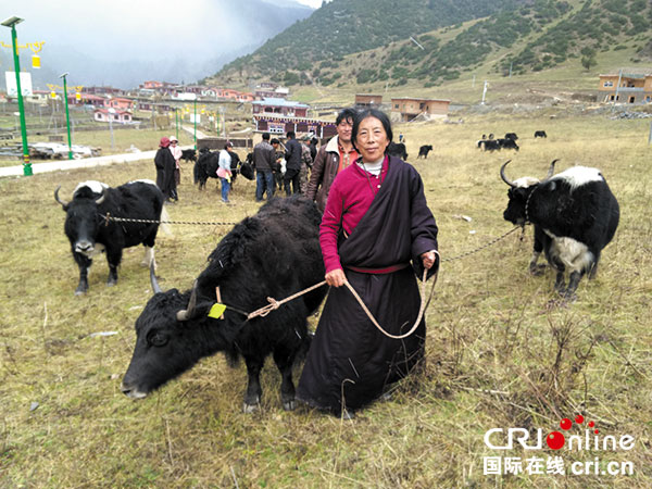 图片默认标题_fororder_2