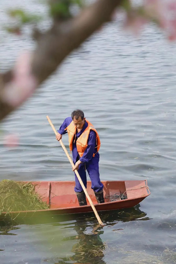一人一舟 坚守在成都兴隆湖的“水生态维护者”们_fororder_↑-工作中的“水生态维护者”丨摄影：高晗瑞-