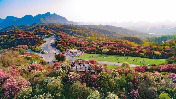 优质的花海景观资源和生态环境资源,但花海景观季节性强,旅游形式单一