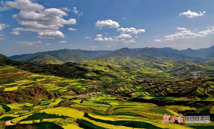 【焦点图+大美甘肃+县域图文列表+天水列表】武山：油菜花开满山黄 香飘四溢尽菲芳