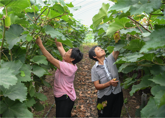 （有修改）（B 旅游列表 三吴大地宿迁 移动版）“我眼中的全面小康”大型全媒体系列采风活动在宿城举行