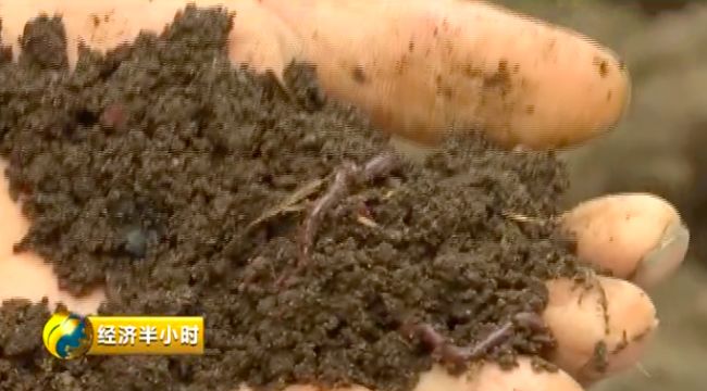 曾经京津冀沙尘暴的“罪魁祸首”，如今变成了聚宝盆！是啥把沙漠