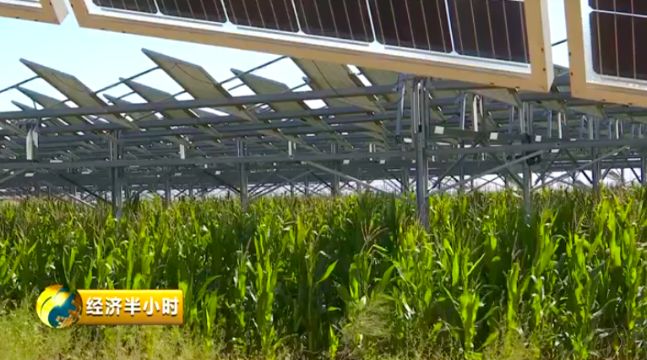 曾经京津冀沙尘暴的“罪魁祸首”，如今变成了聚宝盆！是啥把沙漠