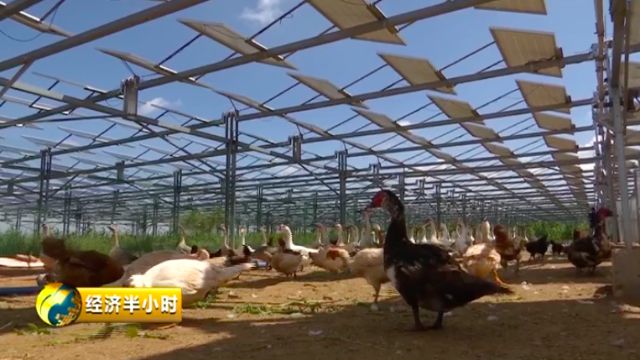 曾经京津冀沙尘暴的“罪魁祸首”，如今变成了聚宝盆！是啥把沙漠