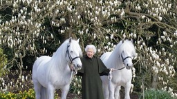 英国女王庆祝96岁生日 公布生日照与小马合影