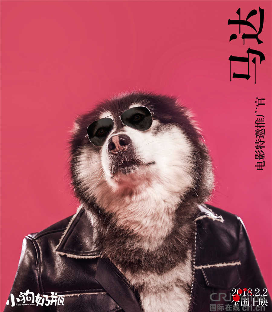中文幕无线码中文字蜜桃视频链接