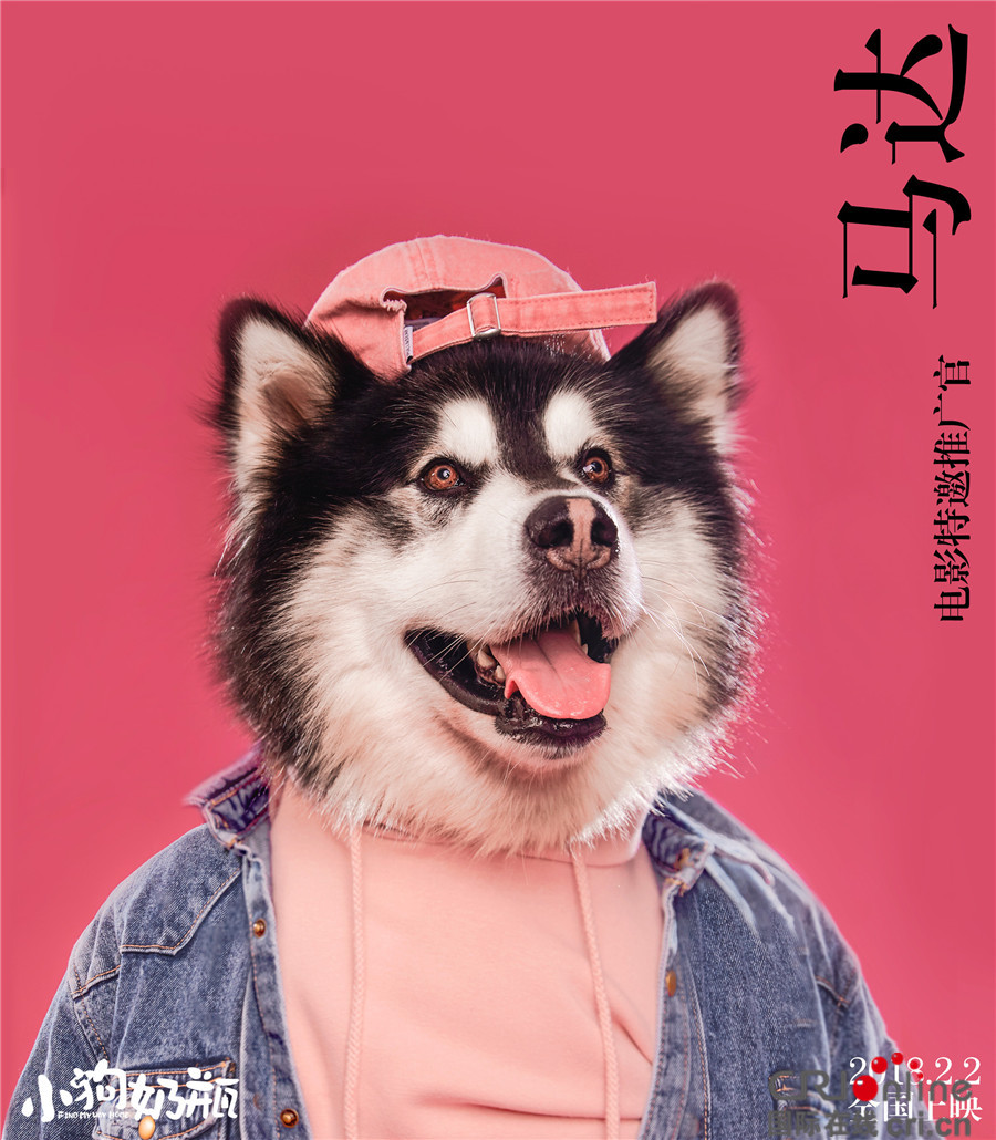 +番 号 库