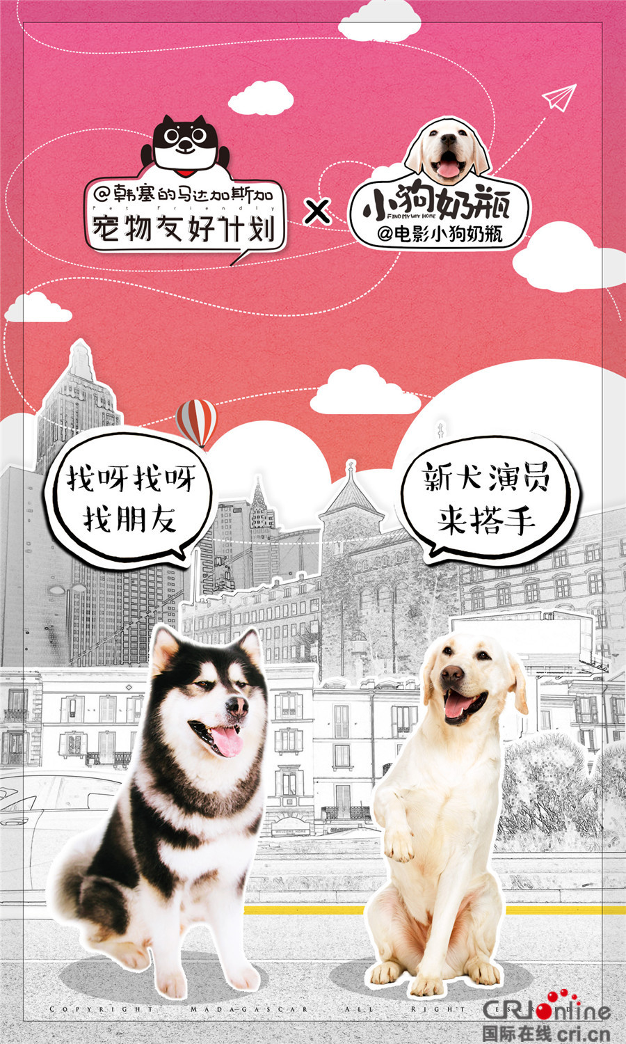 17cgcc吃瓜社会员