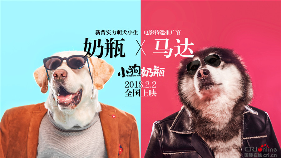 51暗网免费吃瓜