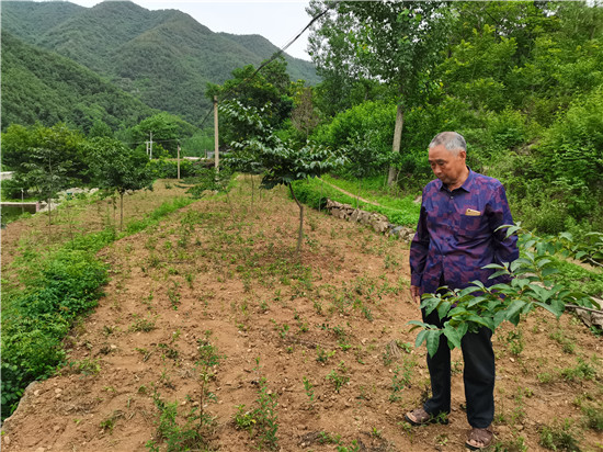 (有修改)【B】平顶山市鲁山县脱贫户牛俊升:希望能带着乡邻脱贫致富奔小康