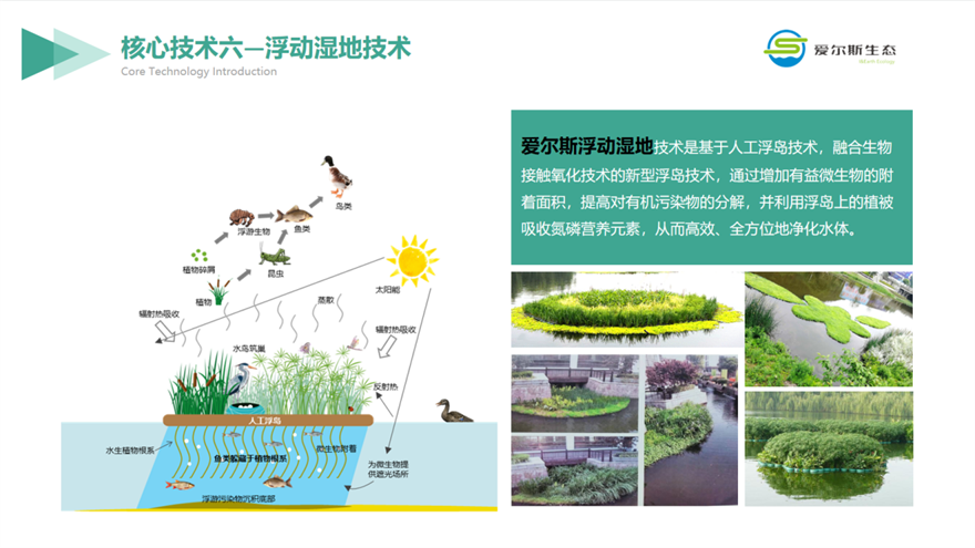 西安高新区企业：用科技助力环保 做守护绿水青山的探索者_fororder_图片12