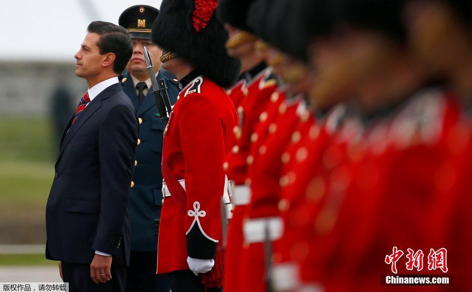 墨西哥总统出访加拿大 仪仗队卫兵晕倒在地(组图)