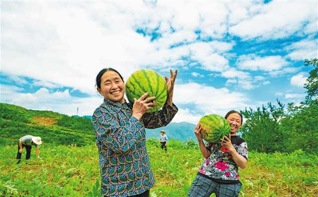 重庆西瓜增收甜蜜蜜