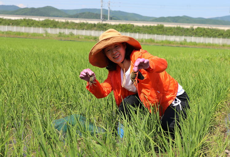 安图县石门镇利用资源优势大力发展生态养殖