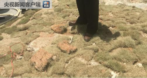 福建漳州漳浦县矿山非法开采严重破坏生态 督察组：进一步核实 问