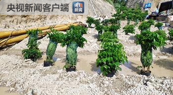福建漳州漳浦县矿山非法开采严重破坏生态 督察组：进一步核实 问