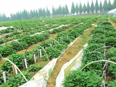 国务院同意建设河南周口国家农业高新技术产业示范区