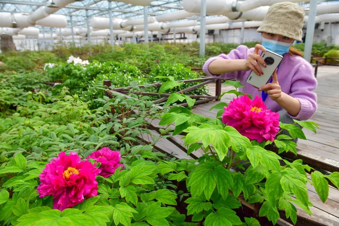 China's First Smart Temperature-Control Greenhouse Opens_fororder_图片8