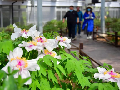China's First Smart Temperature-Control Greenhouse Opens