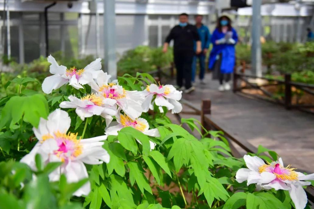 China's First Smart Temperature-Control Greenhouse Opens_fororder_图片9