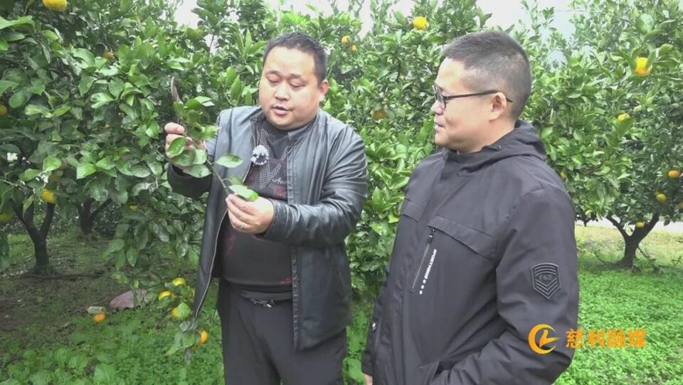 暴雨后排水渠堵塞,他一头扎了进去……