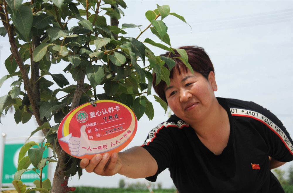 八一村街道两侧都种着杏树,苹果梨树等,每棵树上还挂着红色的爱心