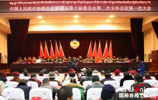 图片默认标题_fororder_会议现场