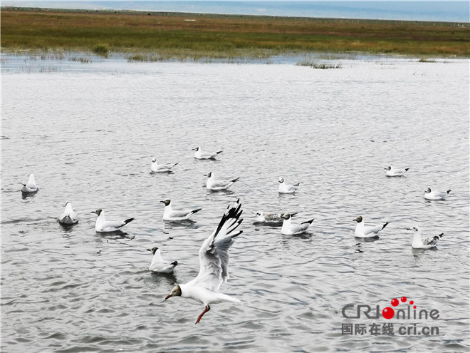 首届国家公园论坛在青海西宁举行