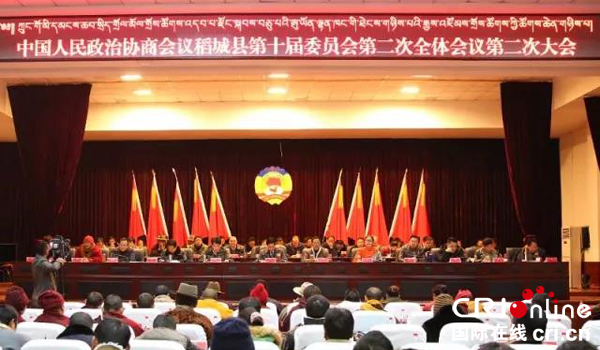 图片默认标题_fororder_会议现场