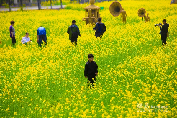 【中国梦&#183;实践者】山东代村王传喜：打造全国首个“国家农业公园”