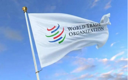 走出跨境电商困局 品牌出海迎来新变化