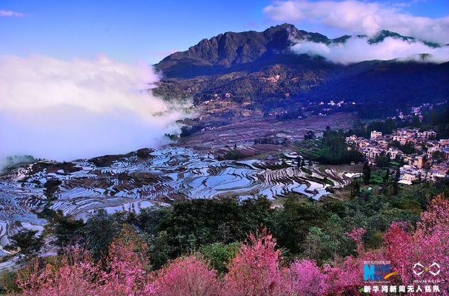 图片默认标题_fororder_J4-1