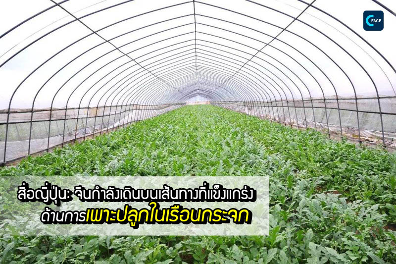 图片默认标题_fororder_11