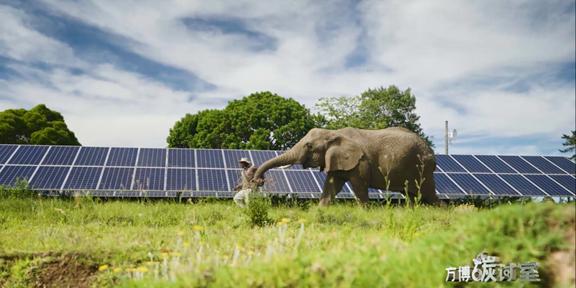 《方博碳讨室》:四问欧洲绿色能源转型 《方博碳讨室》:四问欧洲绿色能源转型