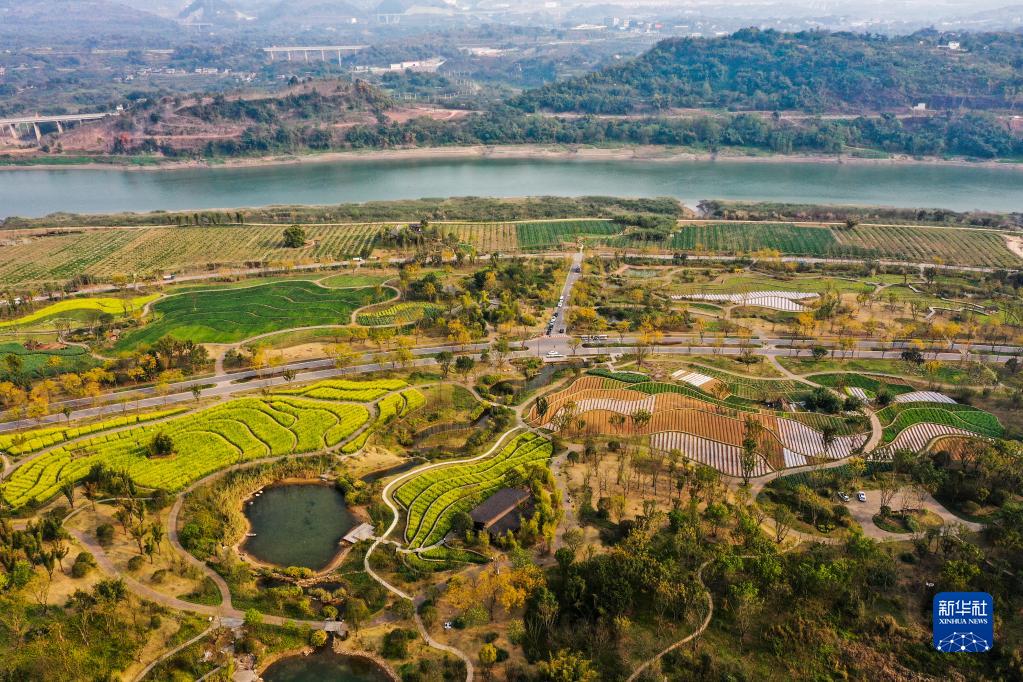 【城市远洋】重庆:一山一岛,折射长江之变