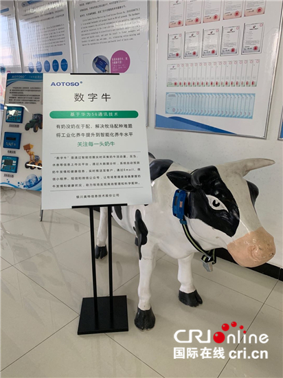 【壮丽70年·奋斗新时代】奶牛的5G手机