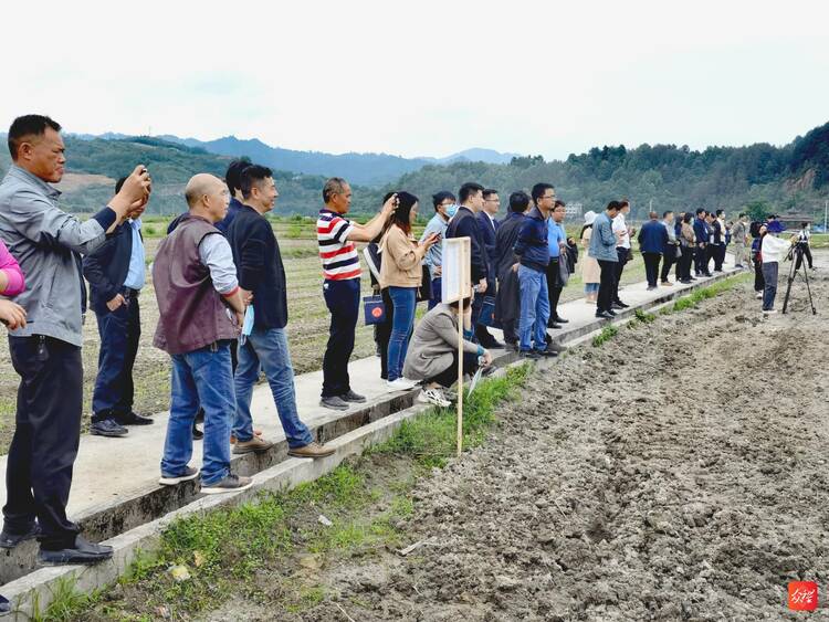 贵州首个水稻无人农场在剑河县正式投入运营