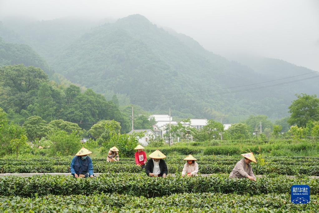 安徽：茶旅融合兴山村