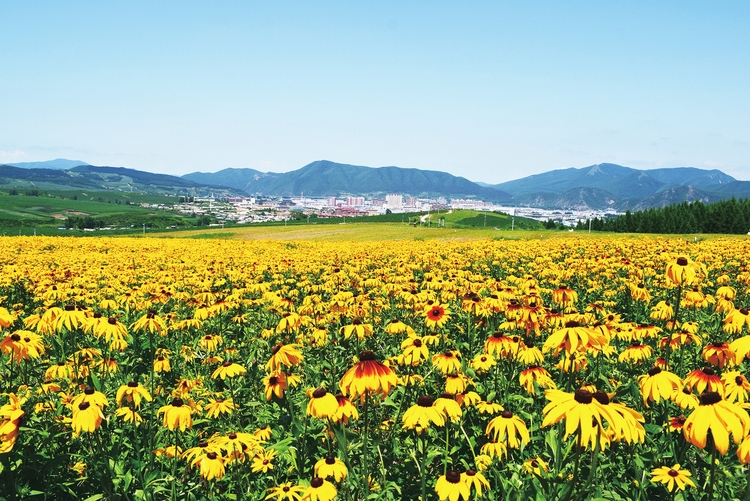 图们江畔日光山花海民俗风情园繁花满山