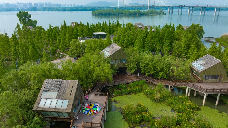 汉江湿地生态美 城园相融景如画