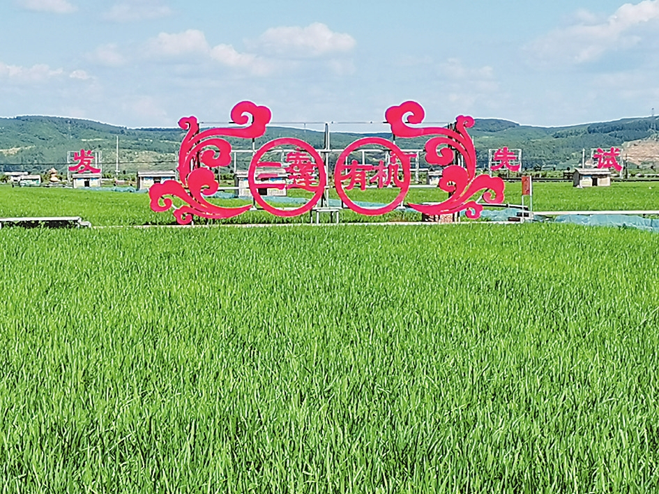 实施乡村振兴战略 争当现代农业建设排头兵——吉林市推进现代农业建设掠影
