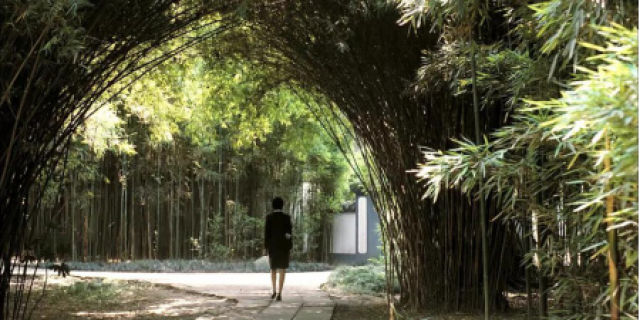 （移动端，导航成都）为什么成都总能成功引起你的注意？