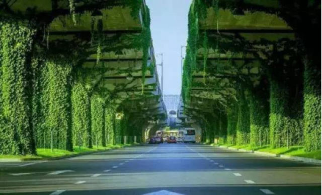 （移动端，导航成都）为什么成都总能成功引起你的注意？