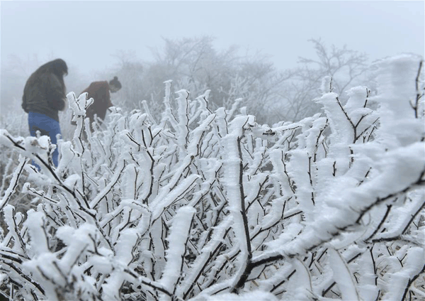 图片默认标题 图片默认标题_fororder_2-2